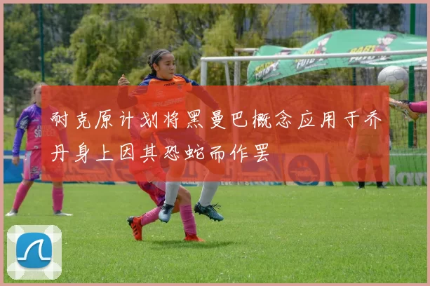 耐克原计划将黑曼巴概念应用于乔丹身上因其恐蛇而作罢